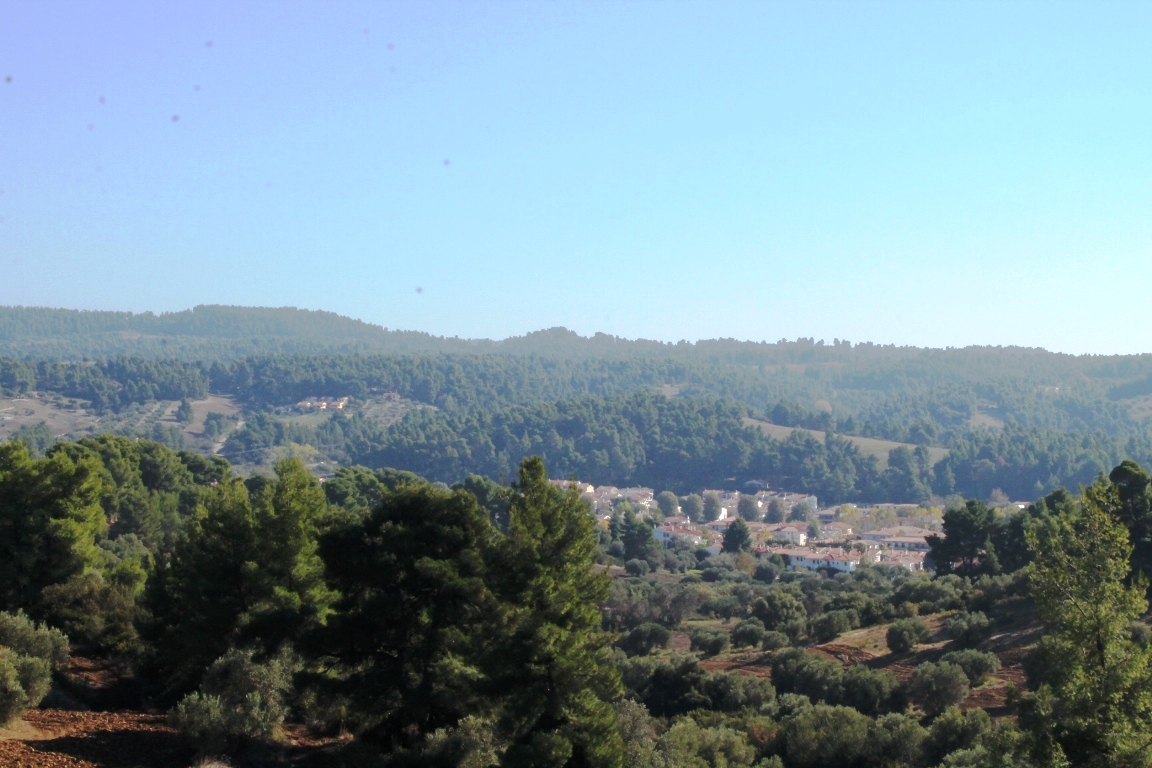 Земля на Кассандре, Греция, 9 500 м² - фото 2