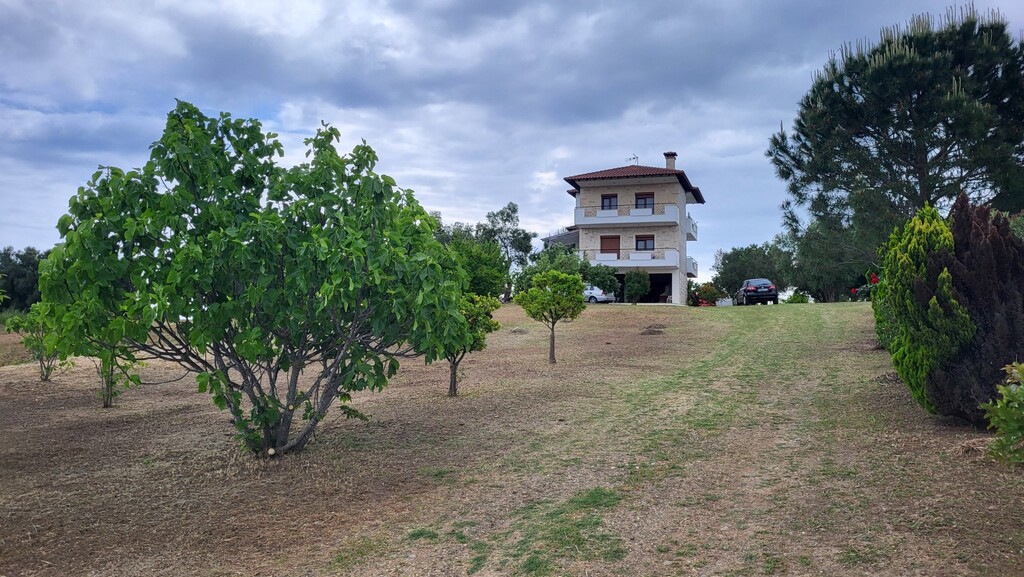 Дом на Кассандре, Греция, 200 м² - фото 2