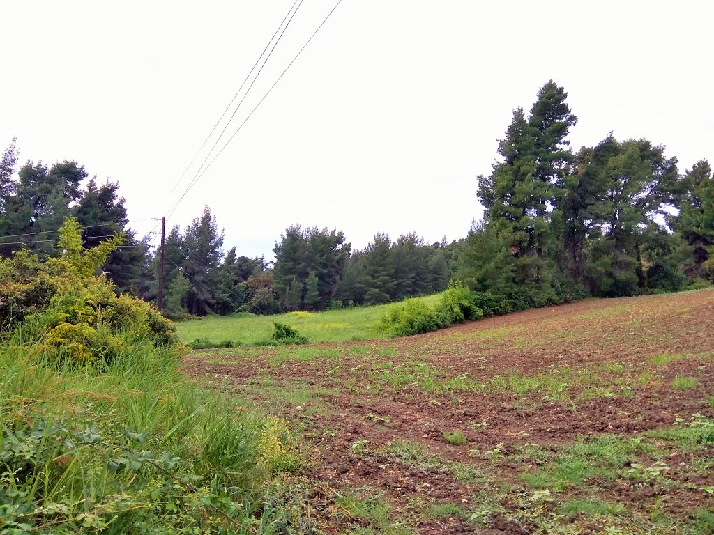 Земля на Кассандре, Греция, 28 000 м² - фото 2