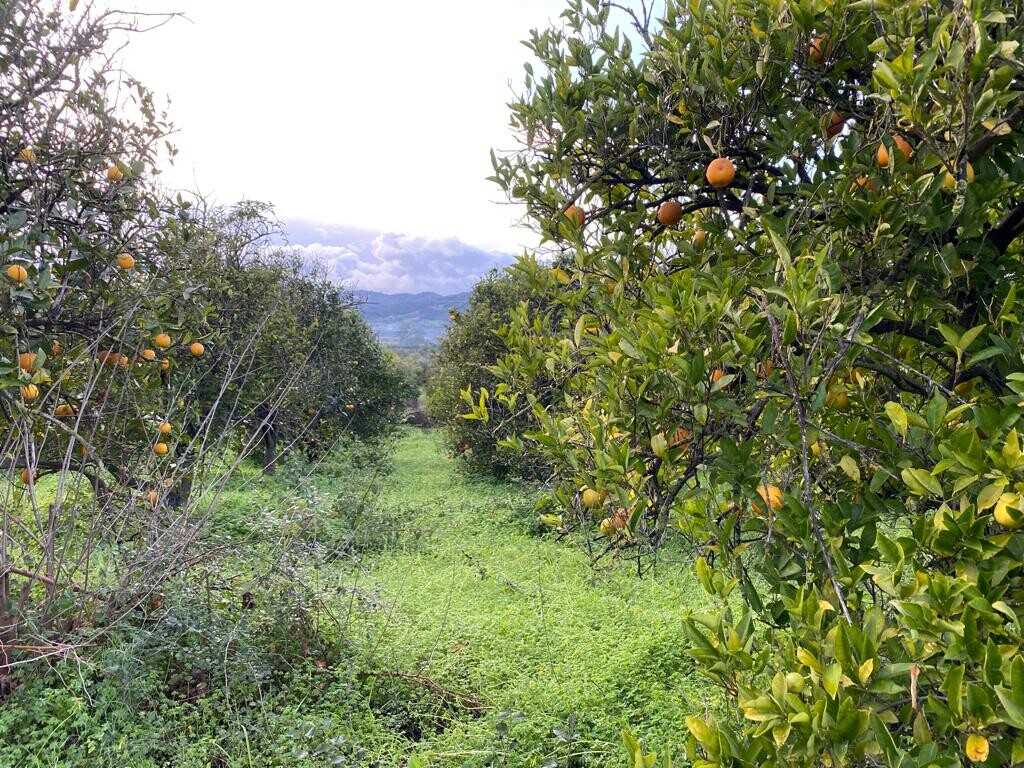 Земля в Ираклионе, Греция, 5 321 м² - фото 2