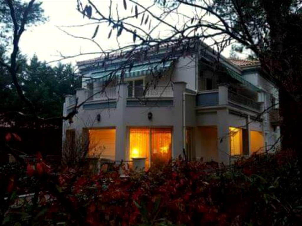 Дом в Афинах, Греция, 430 м² - фото 2