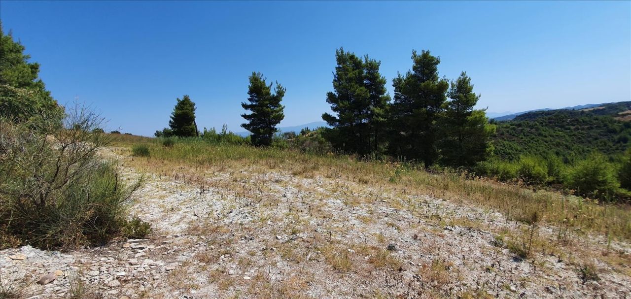 Земля на Кассандре, Греция, 15 000 м² - фото 2