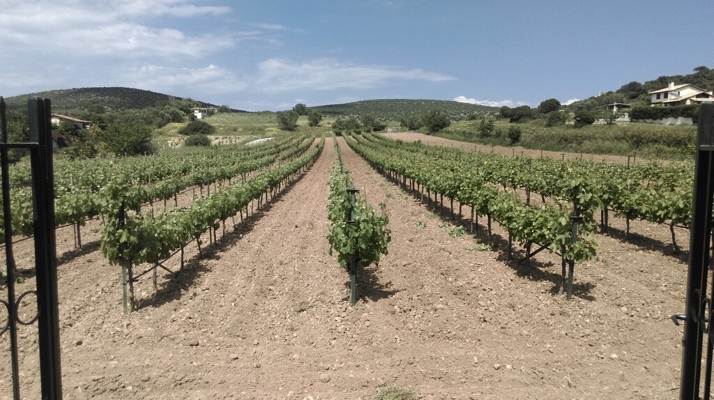 Дом в Аттике, Греция, 375 м² - фото 2