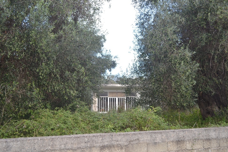 Дом на Корфу, Греция, 90 м² - фото 2