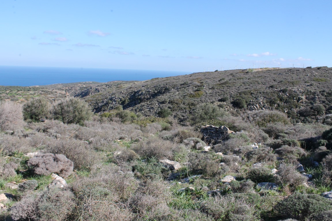 Земля в Ираклионе, Греция, 5 300 м² - фото 2