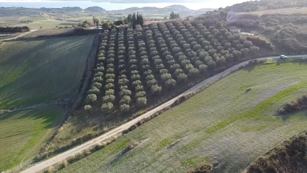 Земля в Ситонии, Греция, 5 625 м² - фото 2