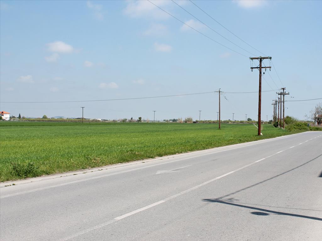 Земля в Олимпиаки-Акти, Греция, 4 500 м² - фото 2