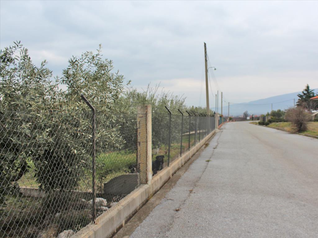 Земля в Олимпиаки-Акти, Греция, 5 062 м² - фото 2