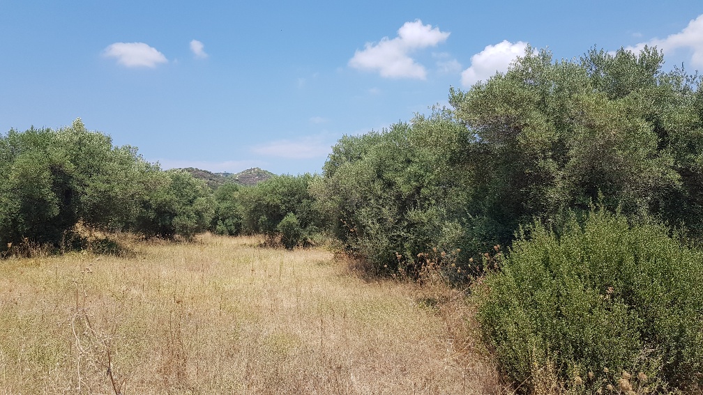 Земля на Кассандре, Греция, 20 000 м² - фото 2