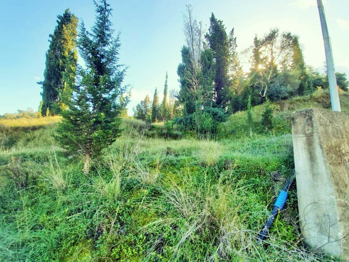 Земля на Корфу, Греция, 5 500 м² - фото 2