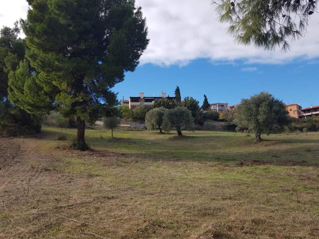 Земля на Кассандре, Греция, 2 822 м² - фото 2