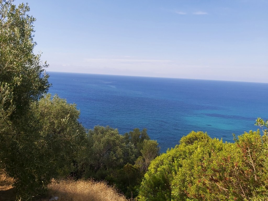 Земля на Корфу, Греция, 8 600 м² - фото 2