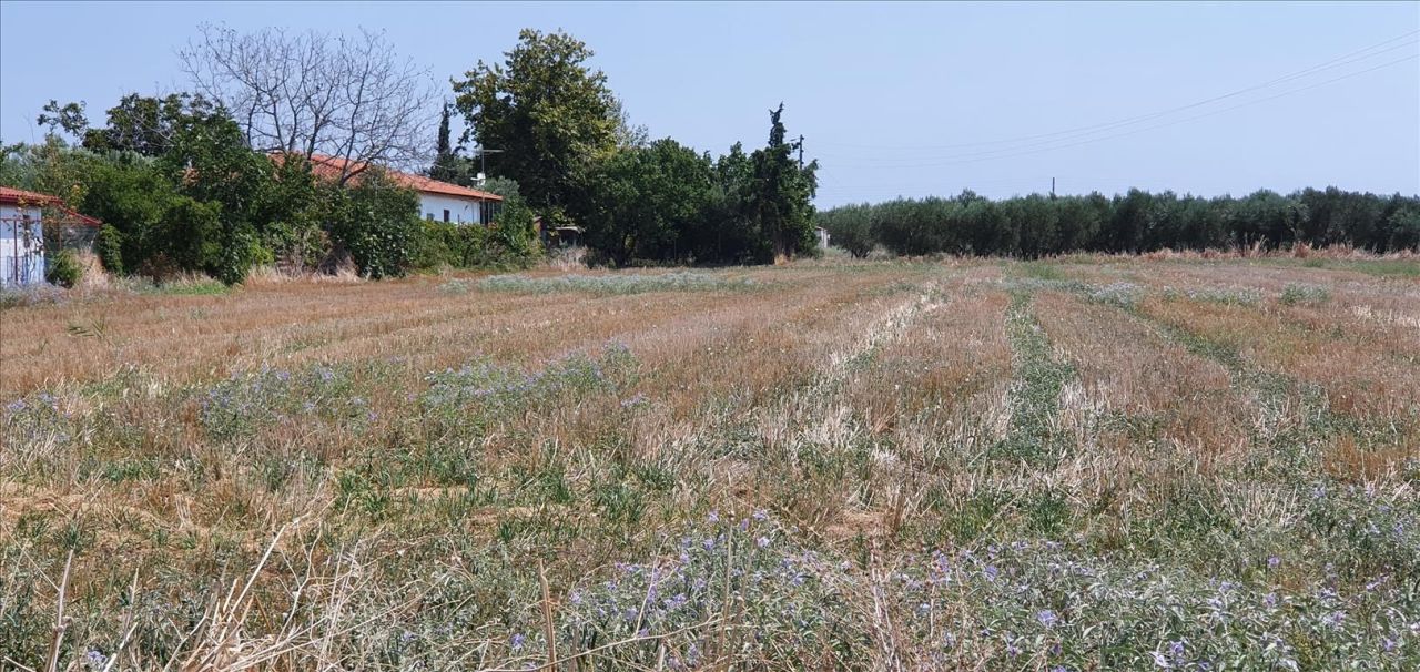 Земля на Халкидиках, Греция, 4 551 м² - фото 2