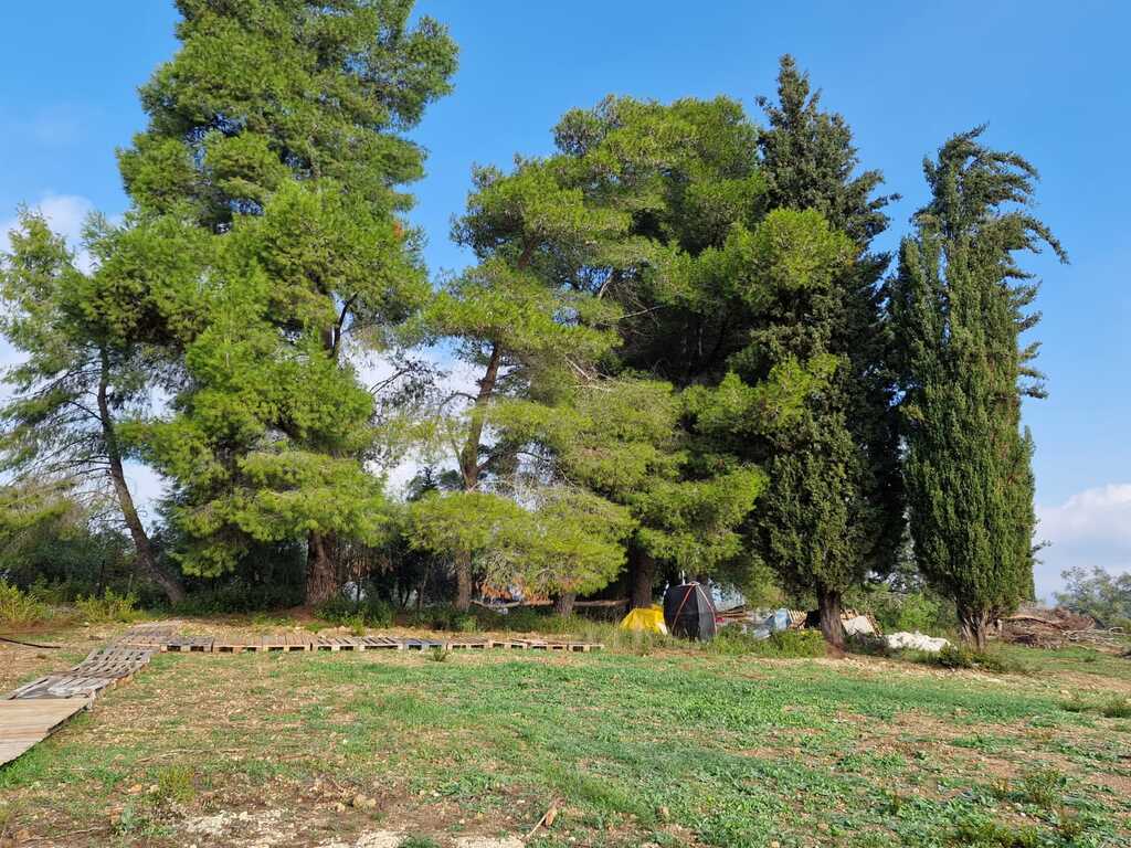 Земля на Корфу, Греция, 3 500 м² - фото 2