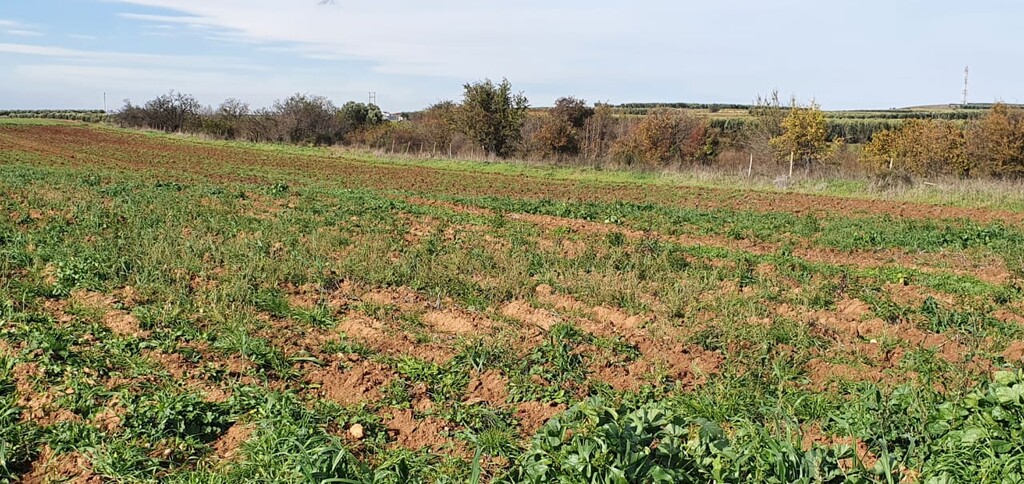 Земля на Халкидиках, Греция, 10 000 м² - фото 2