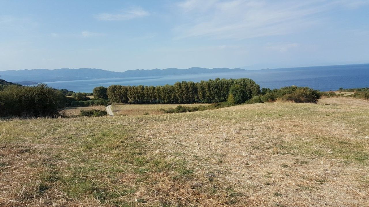 Земля на Халкидиках, Греция, 7 000 м² - фото 2