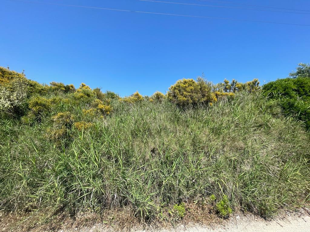 Земля на Корфу, Греция, 10 025 м² - фото 2