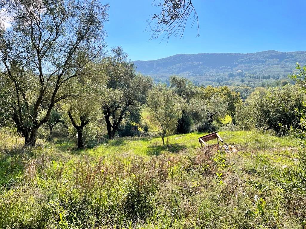 Земля на Корфу, Греция, 5 500 м² - фото 2