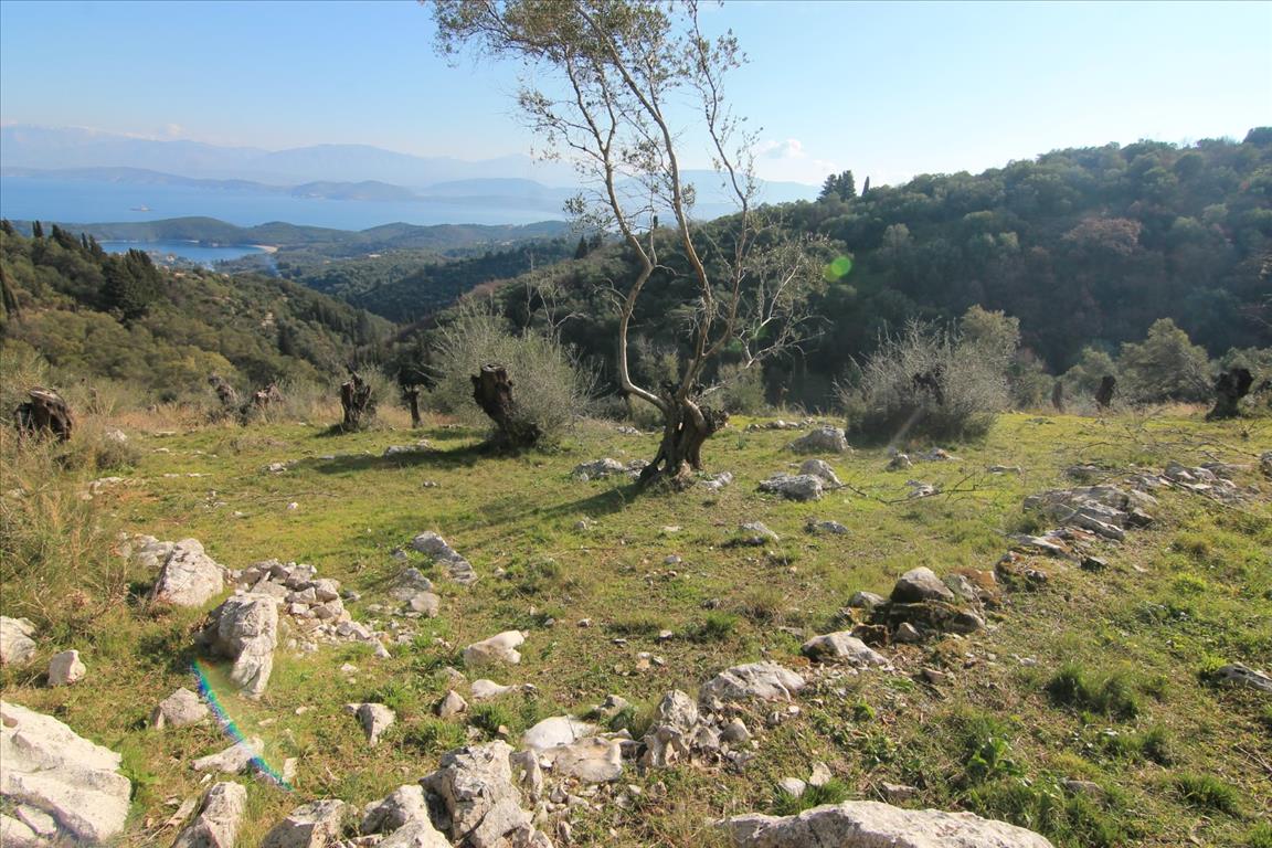 Земля на Корфу, Греция, 6 000 м² - фото 2