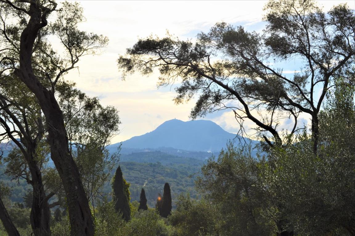 Земля на Корфу, Греция, 3 136 м² - фото 2