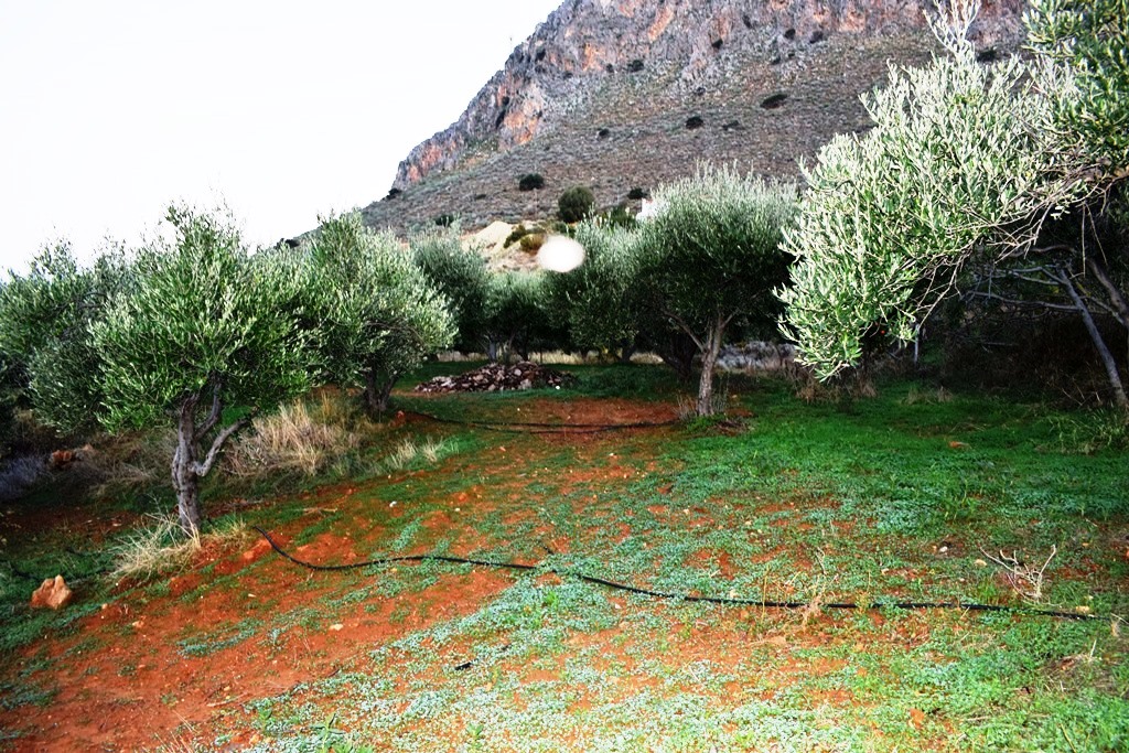 Земля в Ираклионе, Греция, 4 500 м² - фото 2