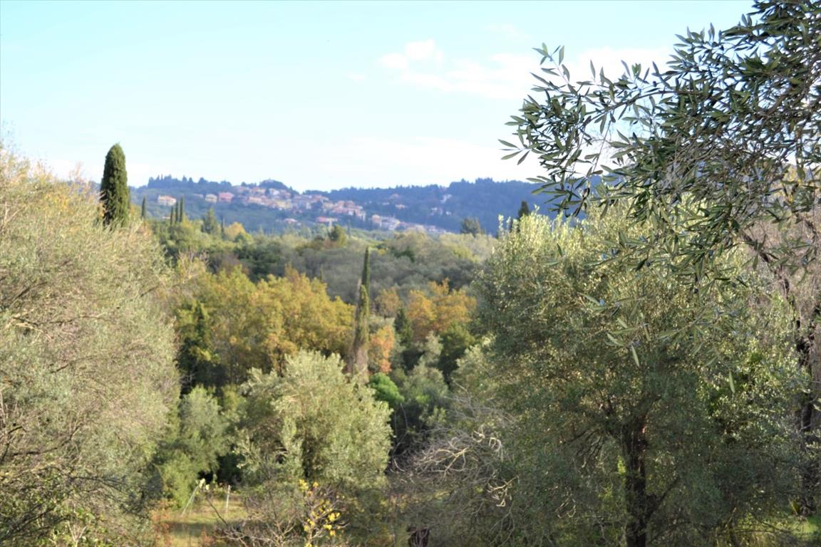 Земля на Корфу, Греция, 5 500 м² - фото 2