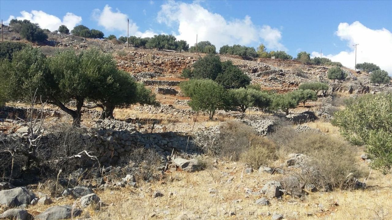 Земля в Ираклионе, Греция, 5 779 м² - фото 2