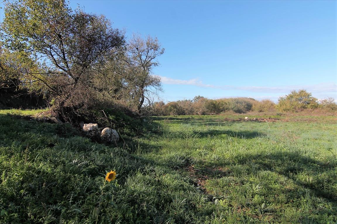 Земля на Корфу, Греция, 5 000 м² - фото 2