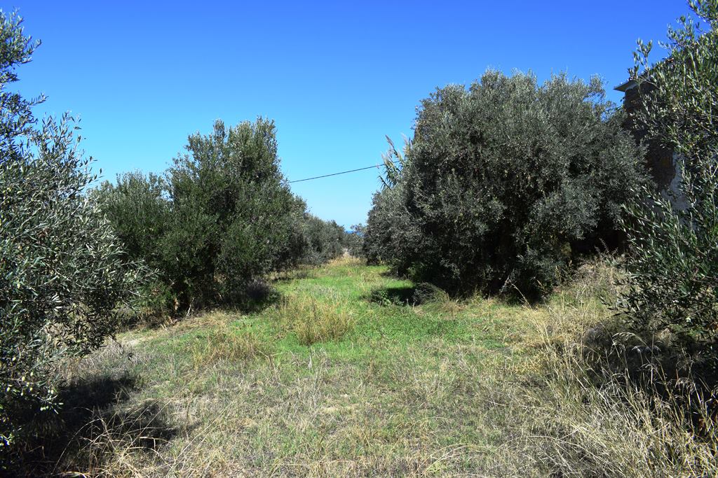 Земля в Ираклионе, Греция, 2 010 м² - фото 2