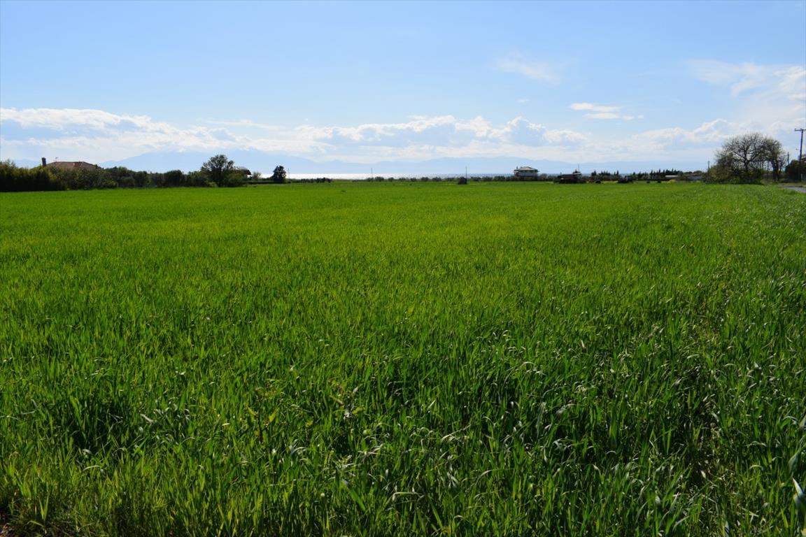 Земля в Салониках, Греция, 27 000 м² - фото 2