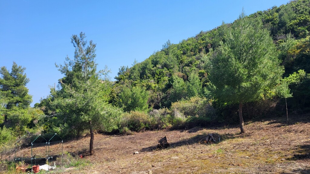 Земля на Кассандре, Греция, 4 500 м² - фото 2