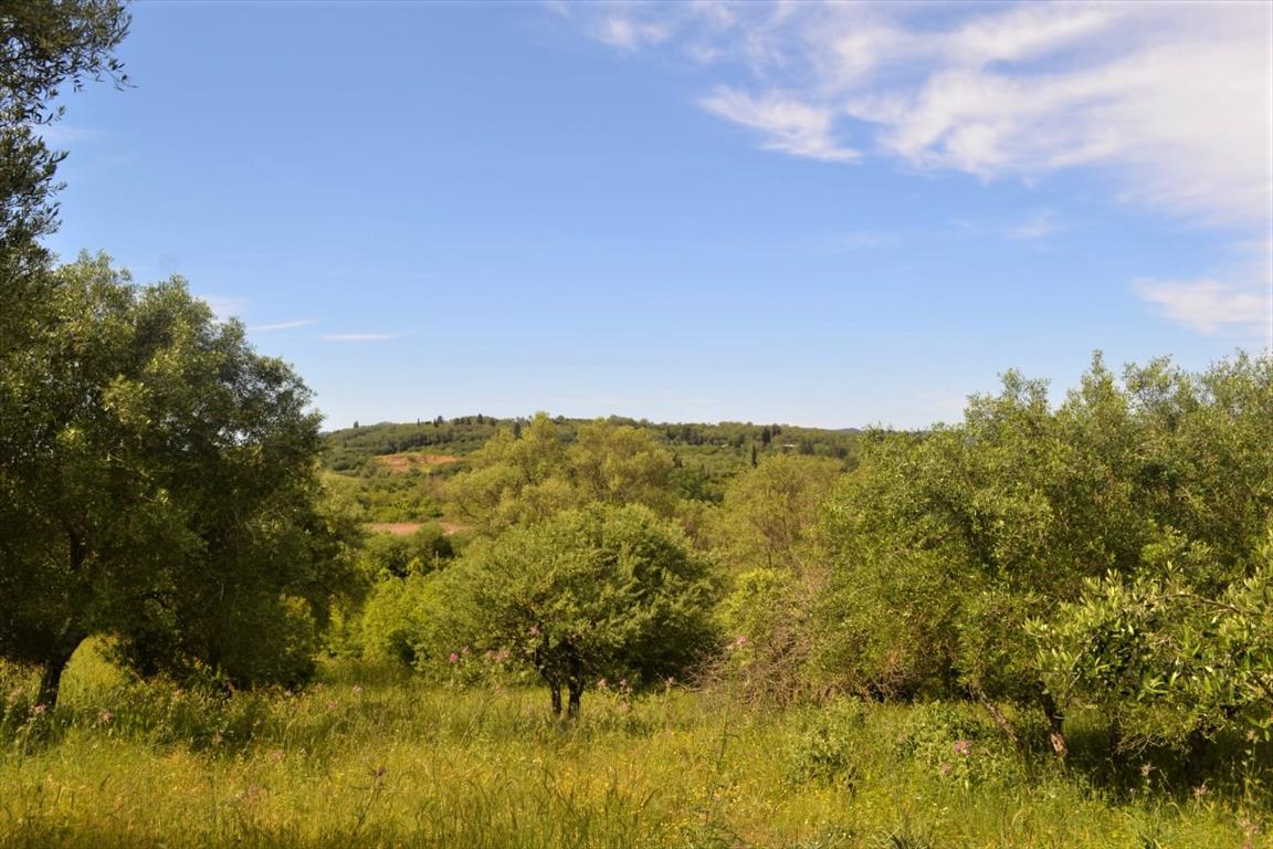 Земля на Корфу, Греция, 12 044 м² - фото 2