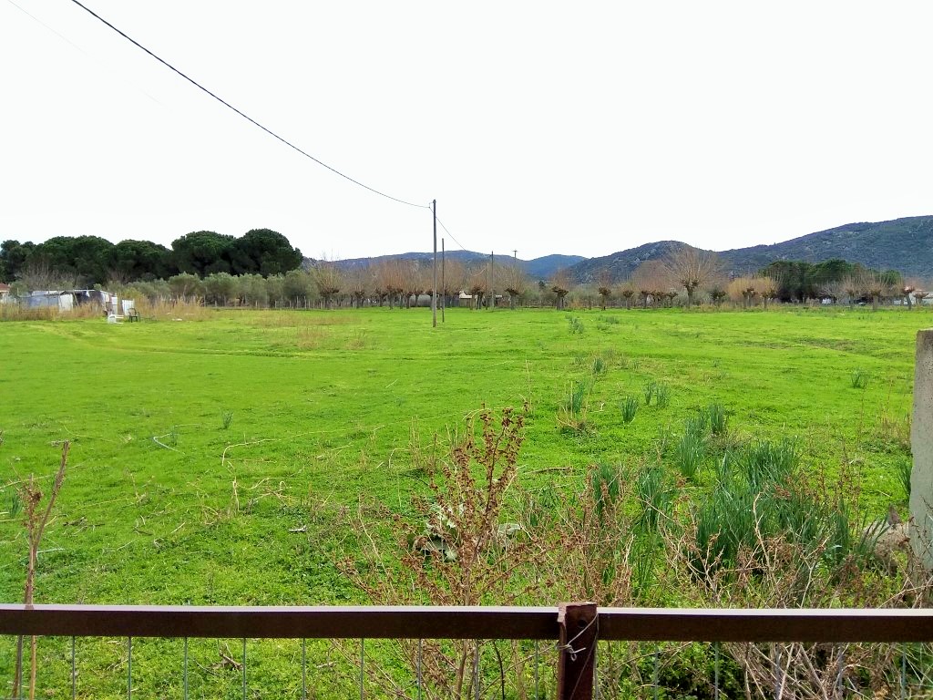 Земля в Ситонии, Греция, 2 650 м² - фото 2