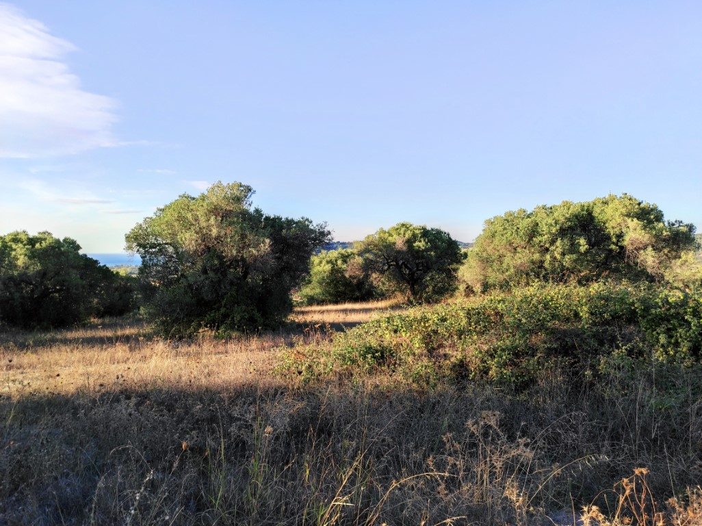 Земля на Кассандре, Греция, 5 500 м² - фото 2