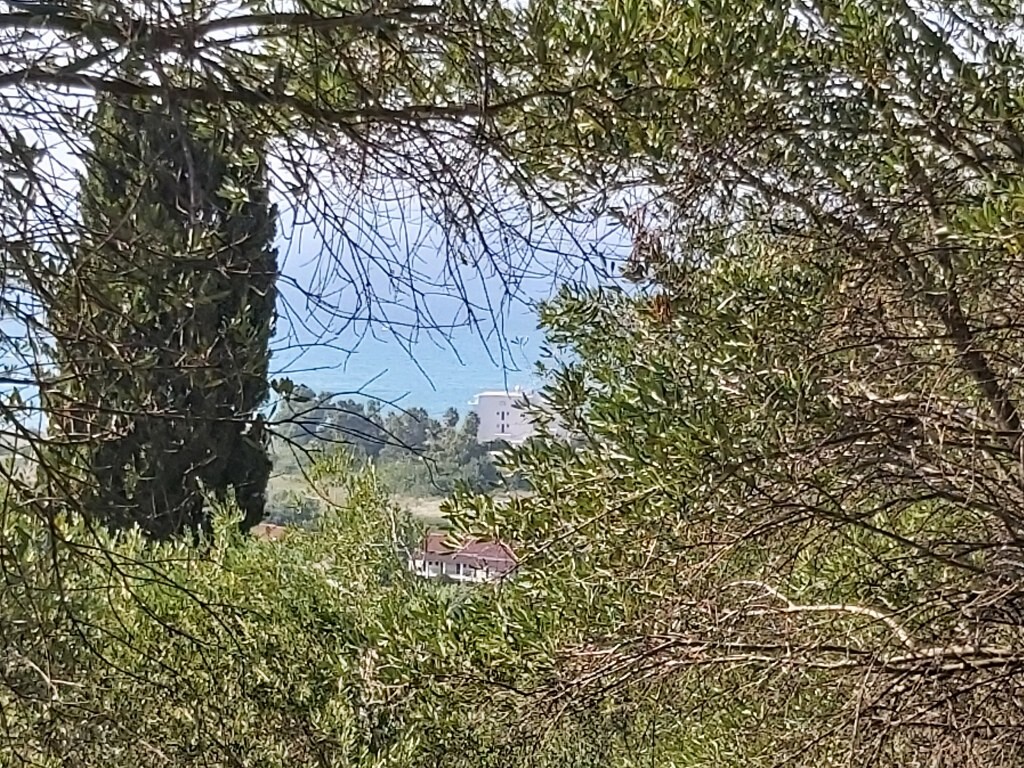 Земля на Корфу, Греция, 4 500 м² - фото 2