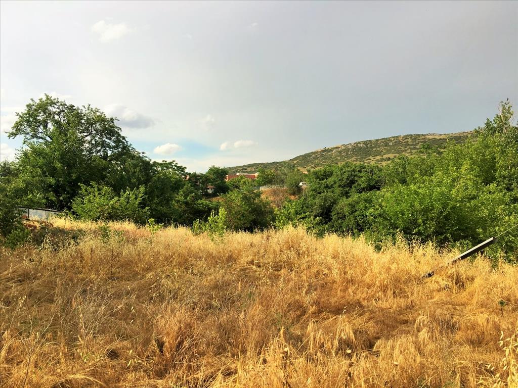 Земля в Салониках, Греция, 8 125 м² - фото 2