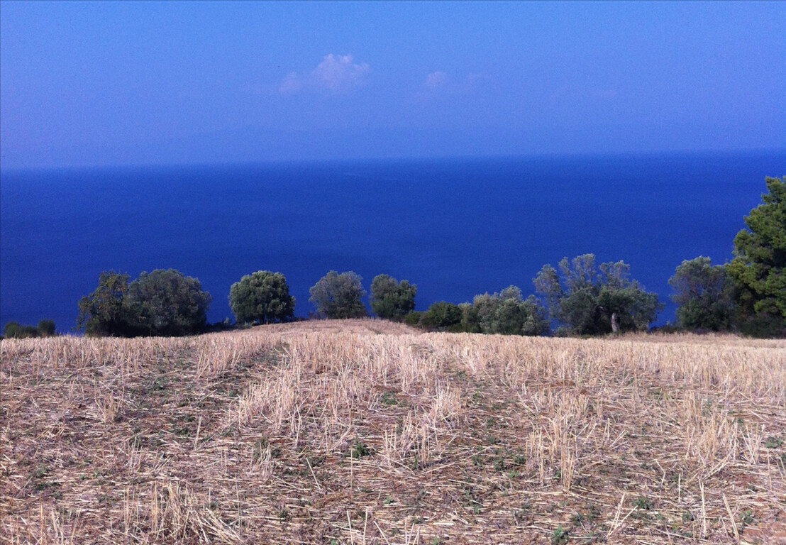 Земля на Кассандре, Греция, 10 170 м² - фото 2