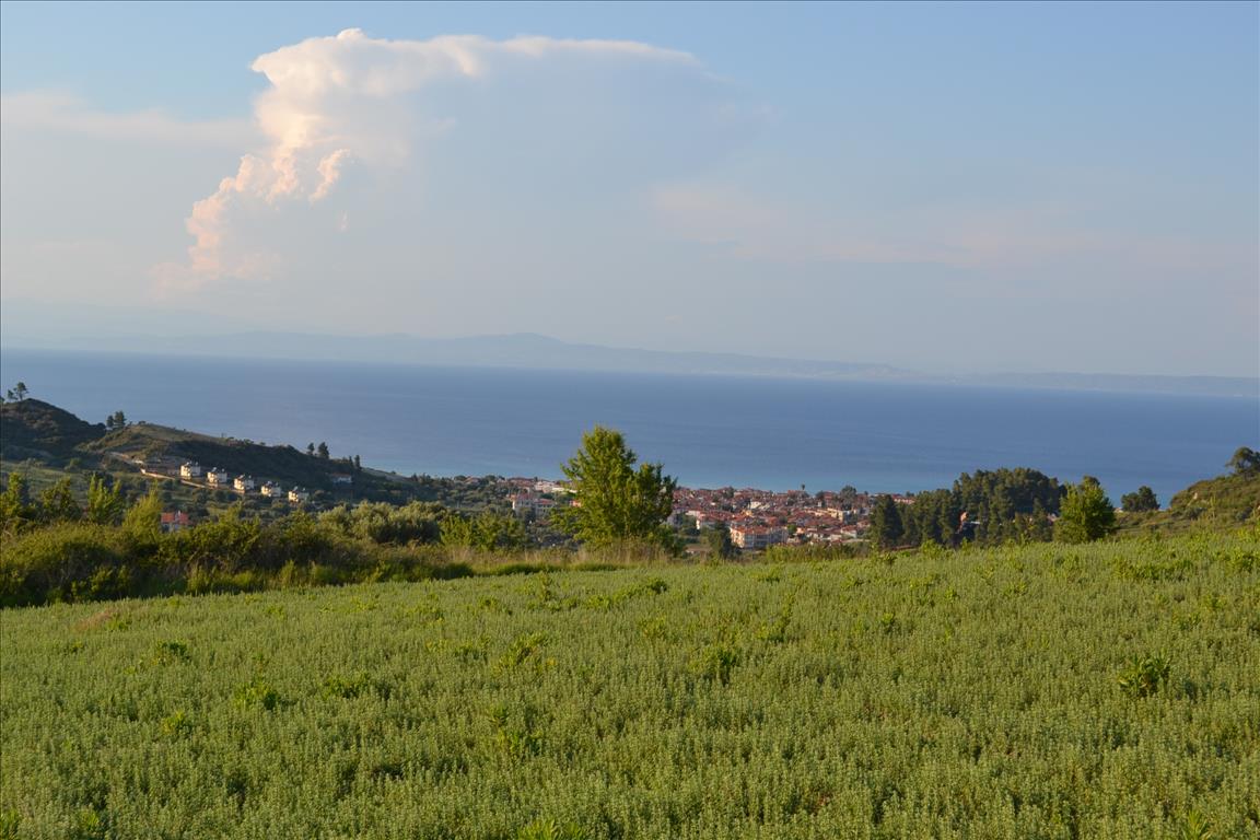 Земля на Кассандре, Греция, 15 400 м² - фото 2