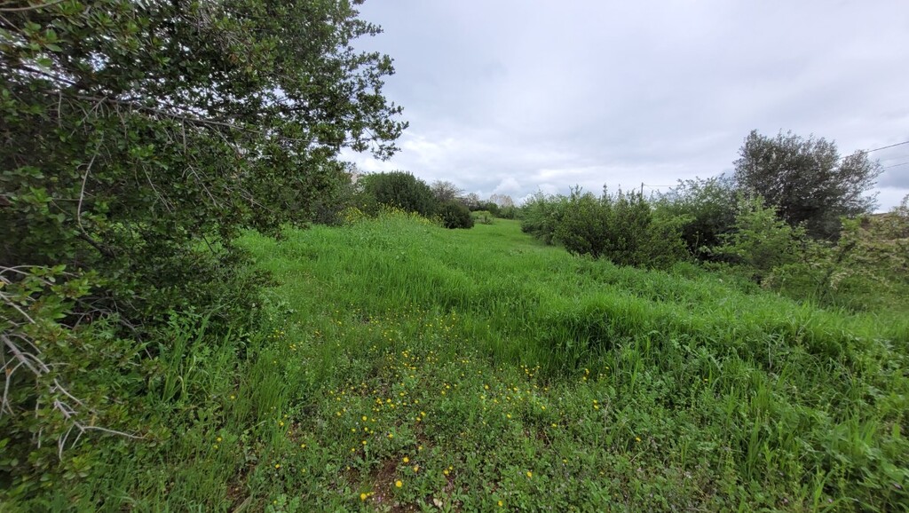 Земля в Салониках, Греция, 4 000 м² - фото 2