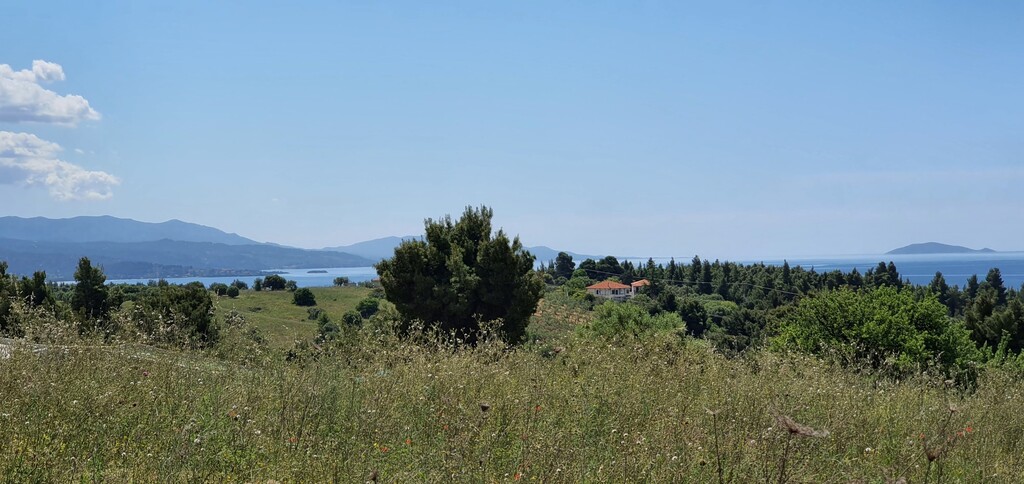 Земля в Ситонии, Греция, 4 000 м² - фото 2