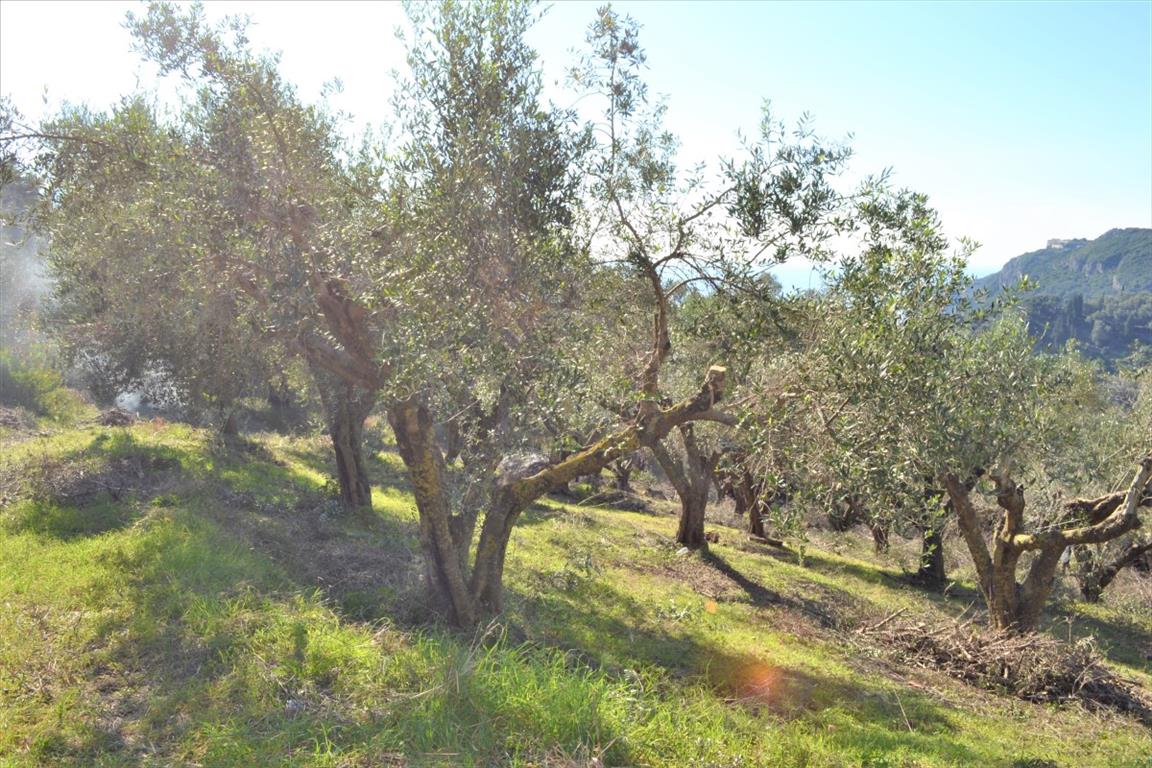 Земля на Корфу, Греция, 8 841 м² - фото 2