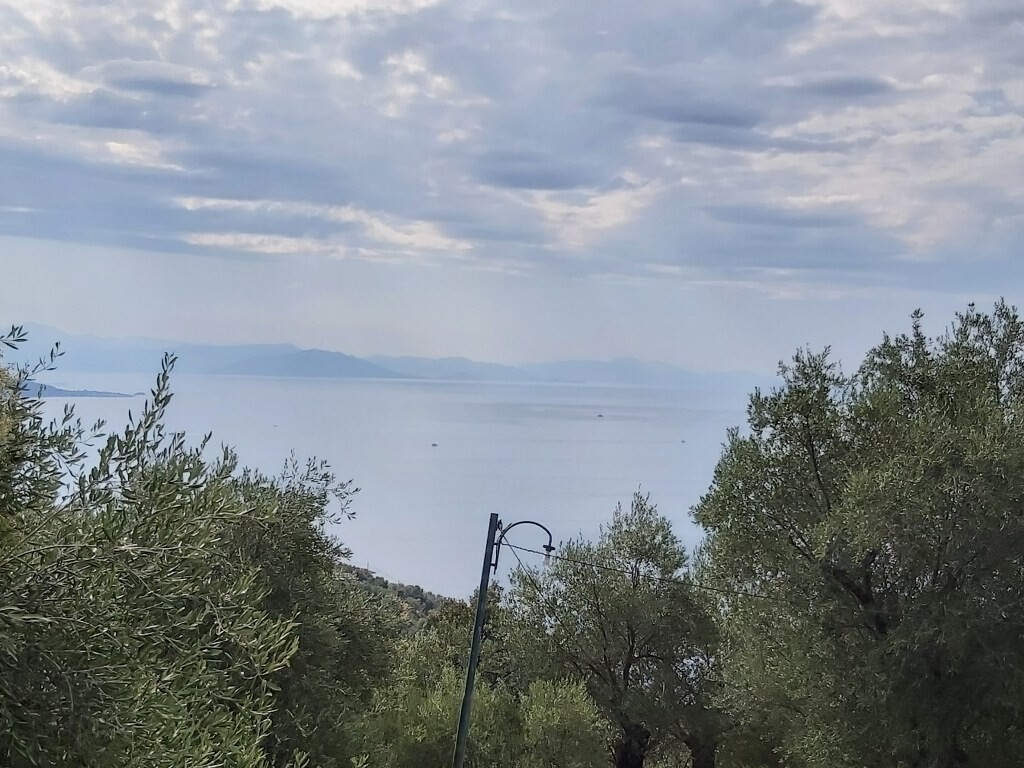 Земля на Корфу, Греция, 18 000 м² - фото 2