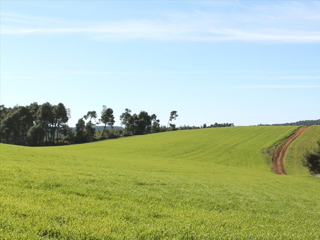 Земля на Кассандре, Греция, 103 500 м² - фото 2