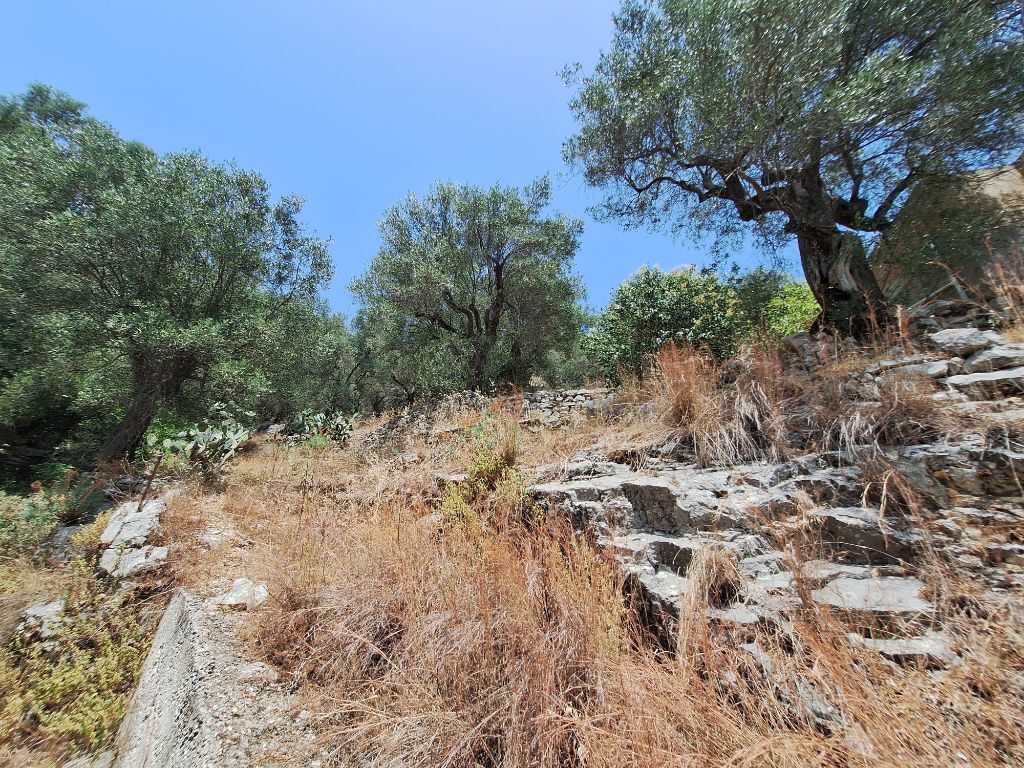 Земля на Корфу, Греция, 6 000 м² - фото 2