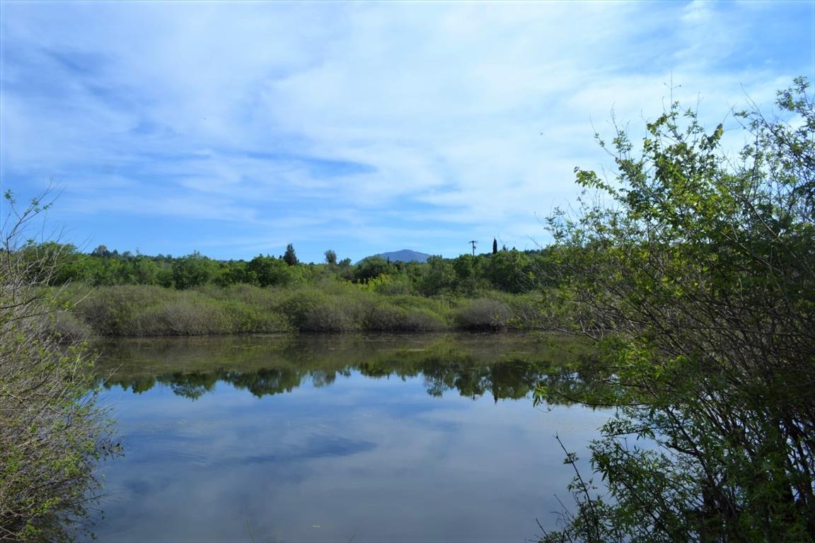 Земля на Корфу, Греция, 72 000 м² - фото 2