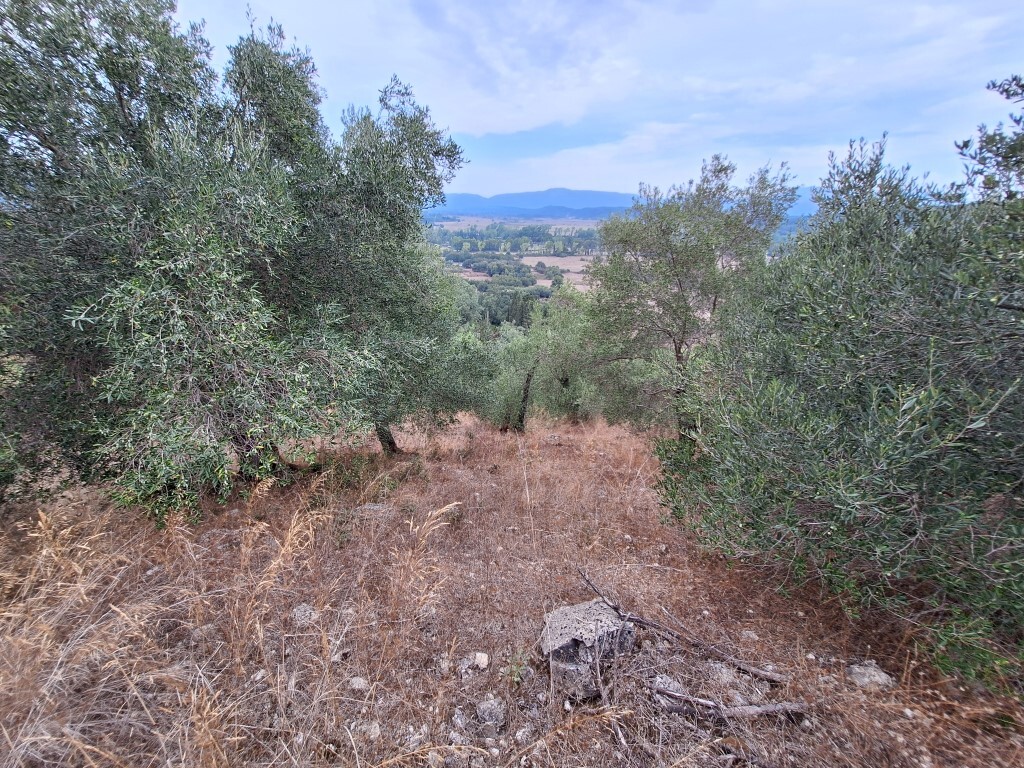 Земля на Корфу, Греция, 13 000 м² - фото 2