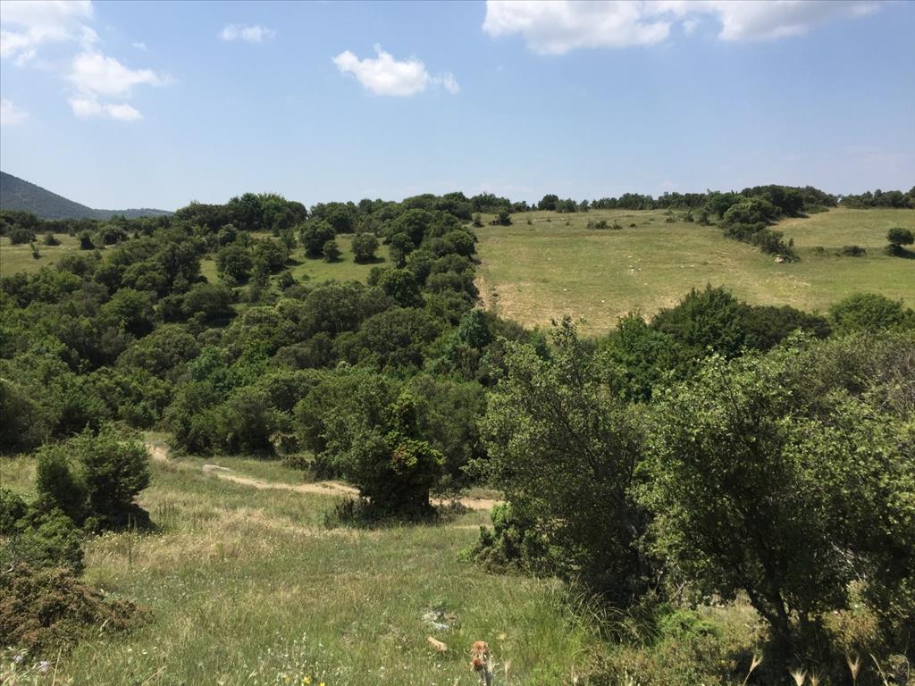 Земля в Салониках, Греция, 12 100 м² - фото 2