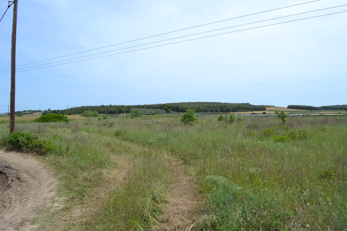 Земля на Кассандре, Греция, 3 200 м² - фото 2