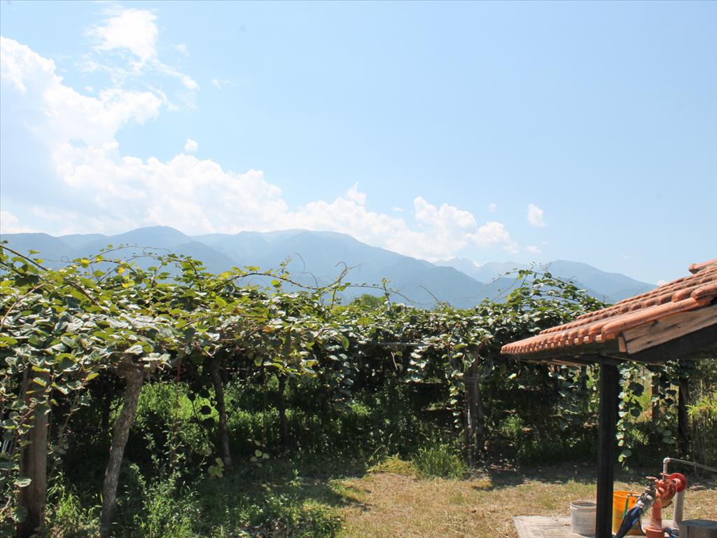 Земля в Олимпиаки-Акти, Греция, 5 000 м² - фото 2