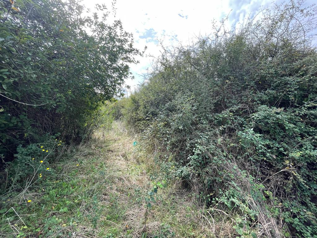 Земля на Корфу, Греция, 20 120 м² - фото 2